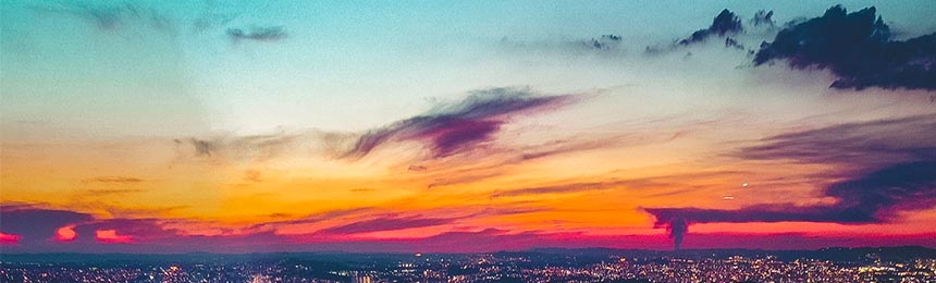 南平茶虫网_南平品茶